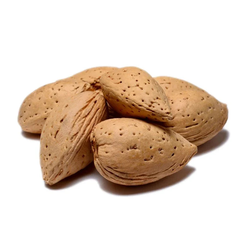 Australian almonds in shell